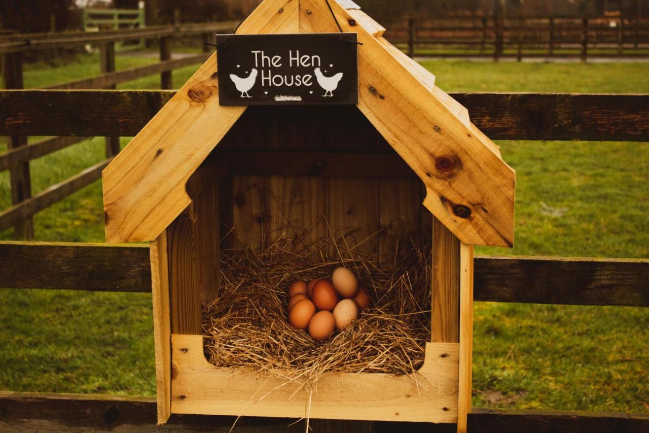 Дом отдыха Springwood Shepherd Huts Glamping Йорк